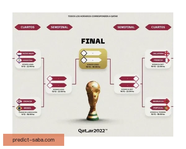世界杯竞猜赔率实时查询及分析最新赛事投注参考