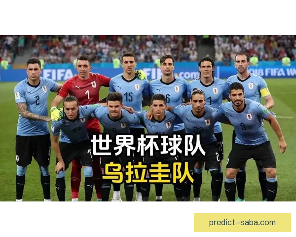 2026年世界杯球队名单预测及实力分析，各大热门球队能否脱颖而出